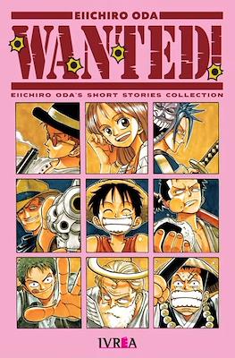 One Piece Wanted Losmor