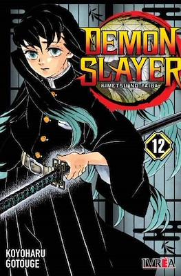 Demon Slayer (Kimetsu no Yaiba) 12