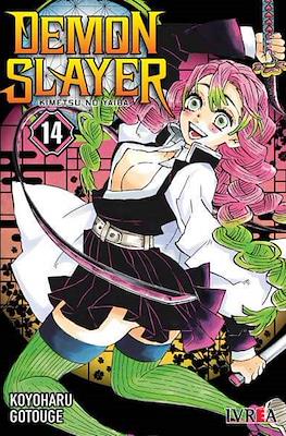 Demon Slayer (Kimetsu no Yaiba) 14