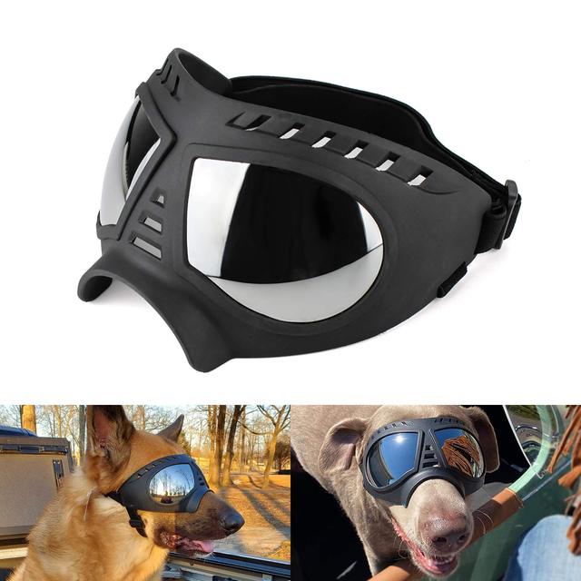 Gafas para perro