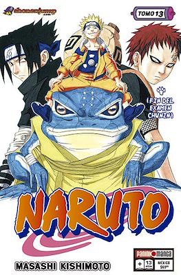 Naruto 13