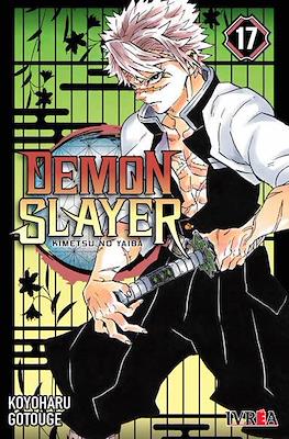 Demon Slayer (Kimetsu no Yaiba) 17