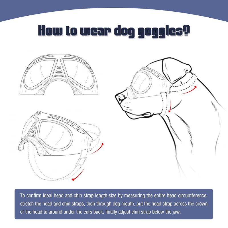 Gafas para perro