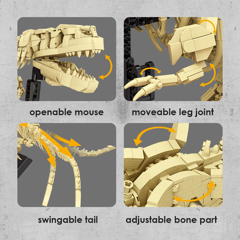 Bloques de Construcción de Fósiles de T-rex