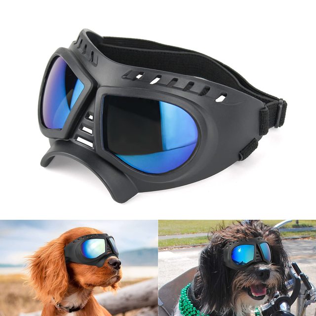 Gafas para perro