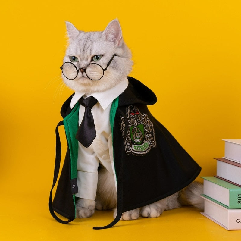 Cosplay para mascotas de Harry Potter