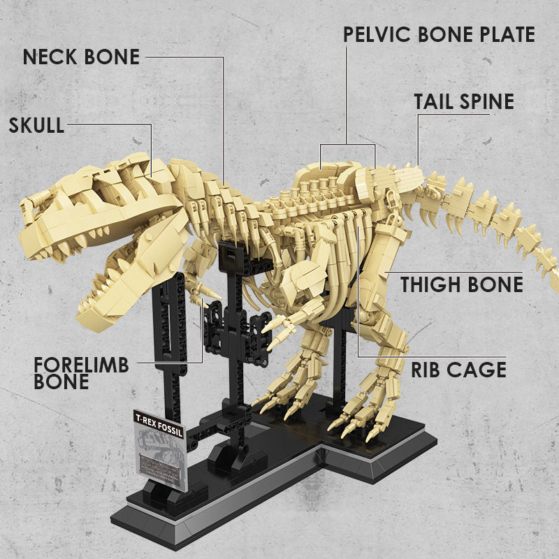 Bloques de Construcción de Fósiles de T-rex